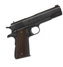 Pistol