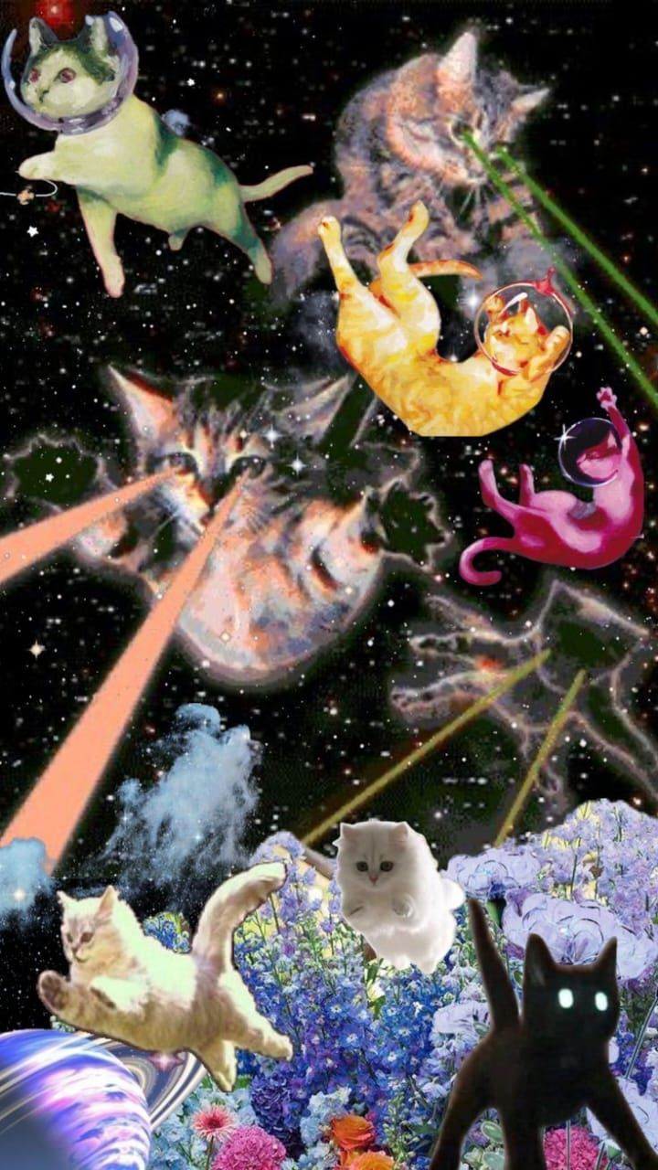 bg