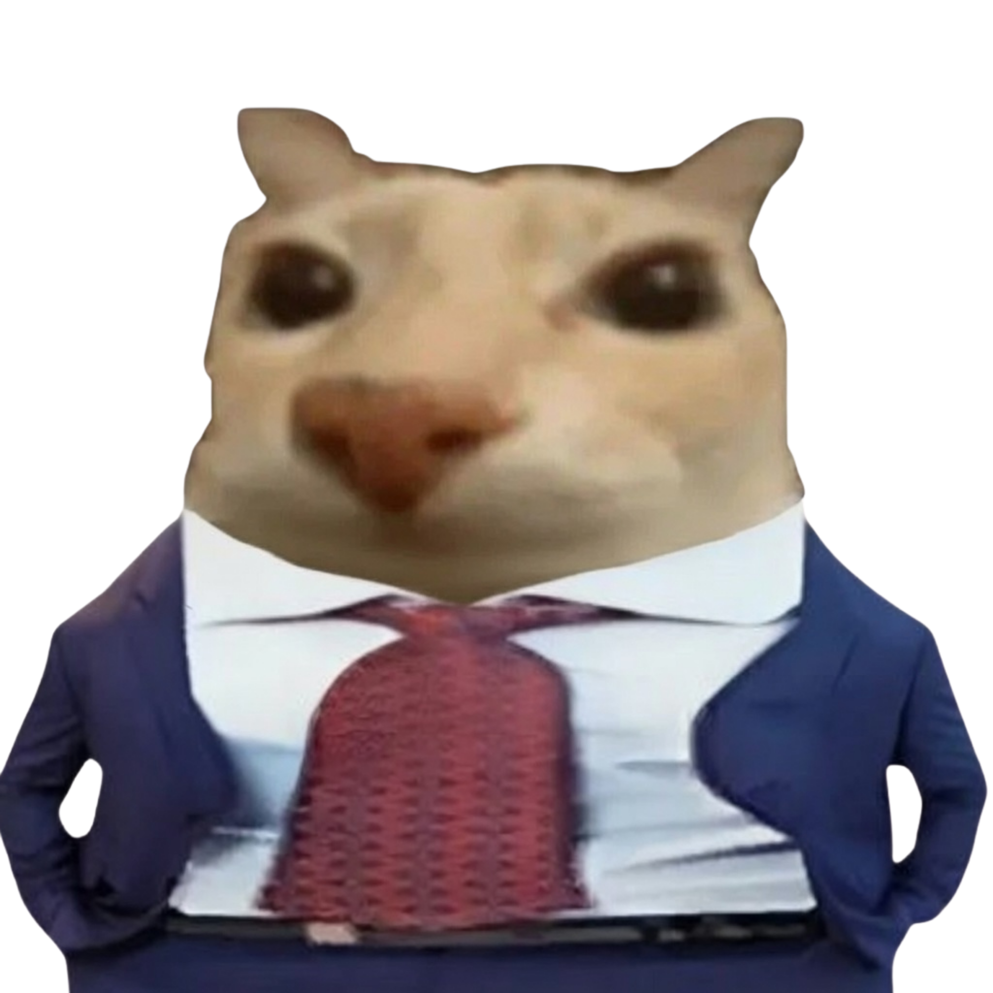 CEO