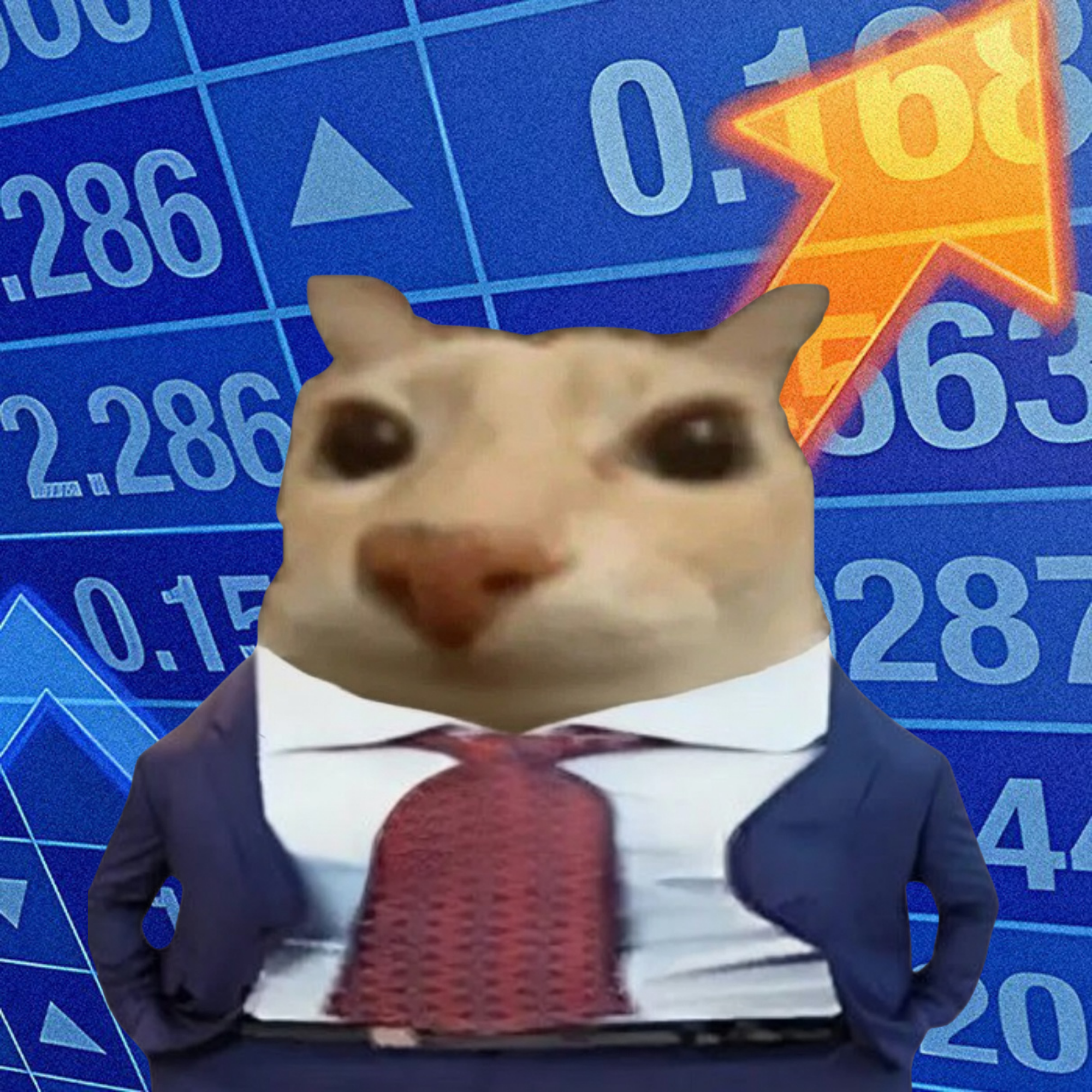 CEO Stonks
